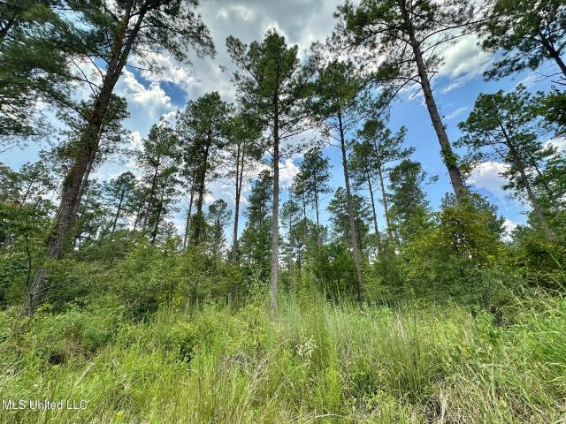 Land for sale in Terry, Mississippi