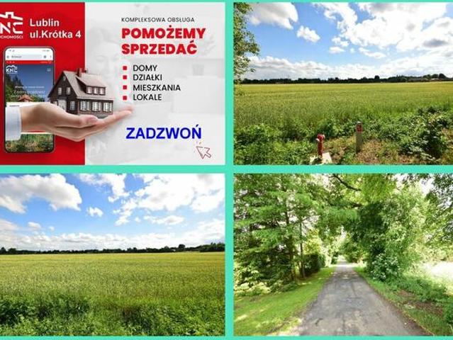 Grunt na sprzedaż w Spiczyn, Lubelskie