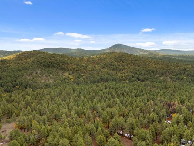 Land for sale in Parks, Arizona