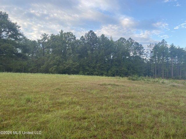 Land for sale in Wiggins, Mississippi