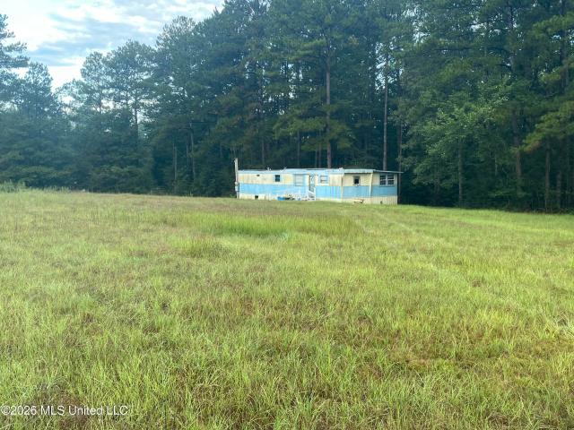 Land for sale in Wiggins, Mississippi