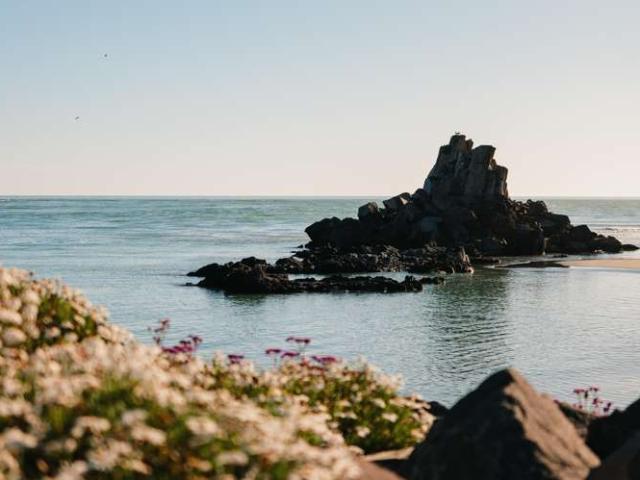 Land for sale in Moncks Bay, Canterbury