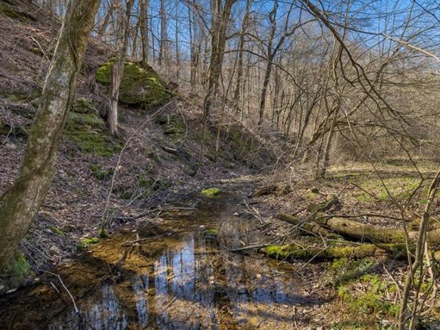 Farm for sale in Tennessee