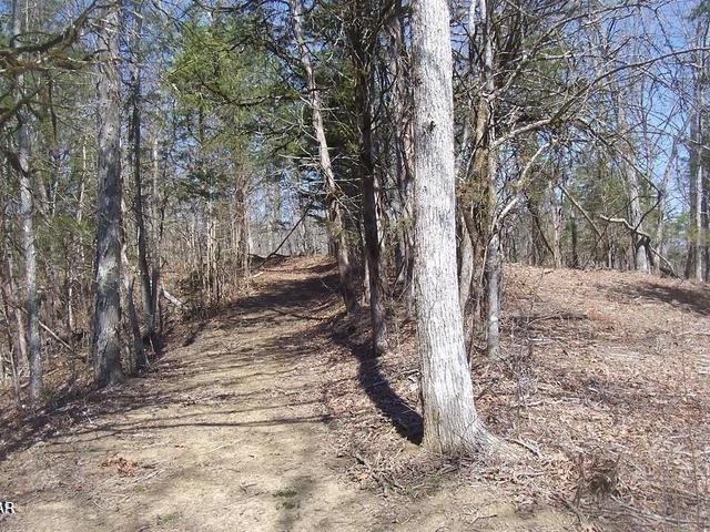 Land for sale in Sevierville, East Tennessee