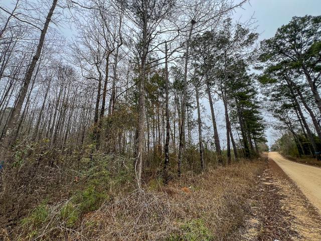 Land for sale in Newton, Texas