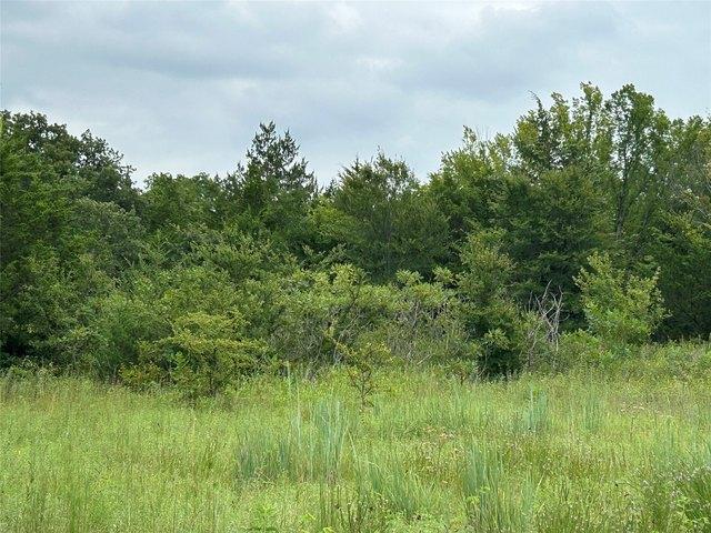 Land for sale in Texas