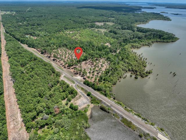 Land for sale in Pineland, Texas