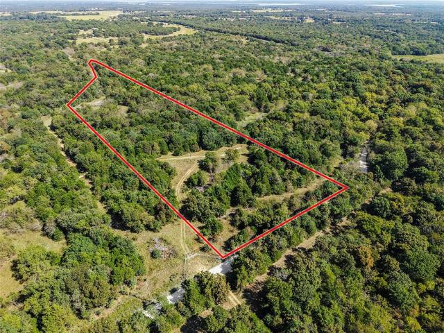 Land for sale in Sadler, Texas