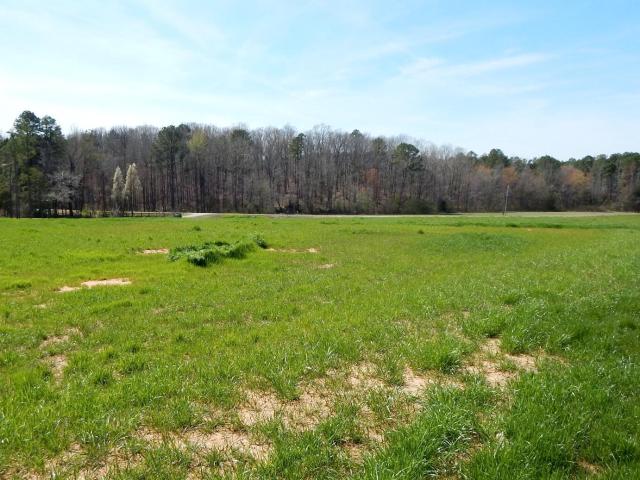 Land for sale in Grenada, Mississippi