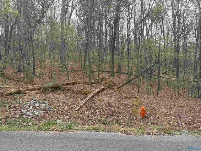 Land for sale in Etowah, Alabama