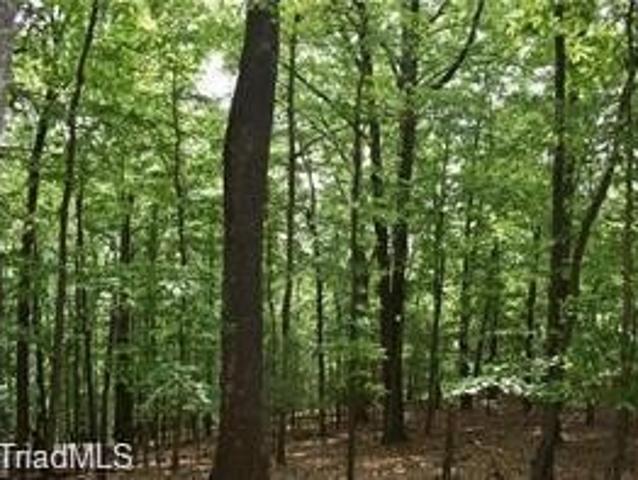 Land for sale in Traphill, North Carolina