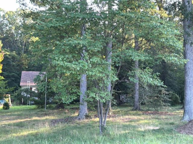 House for sale in Centreville, Maryland