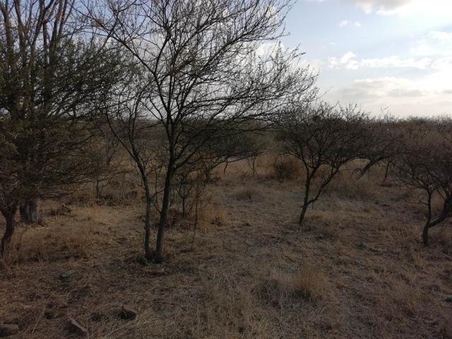 Farm for sale in Seshego, Limpopo