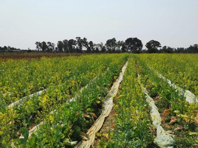 Land for sale in Meyerton, Midvaal Local Municipality