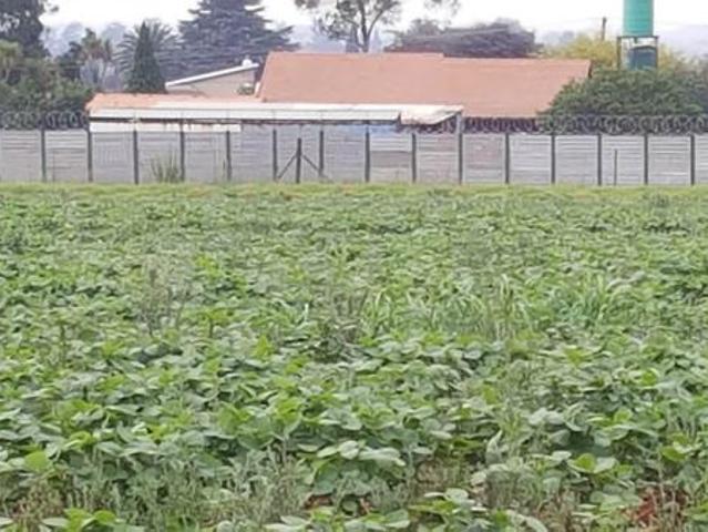 Land for sale in Ehlanzeni, Mpumalanga