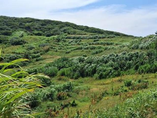 Land for sale in Kwazulu-natal