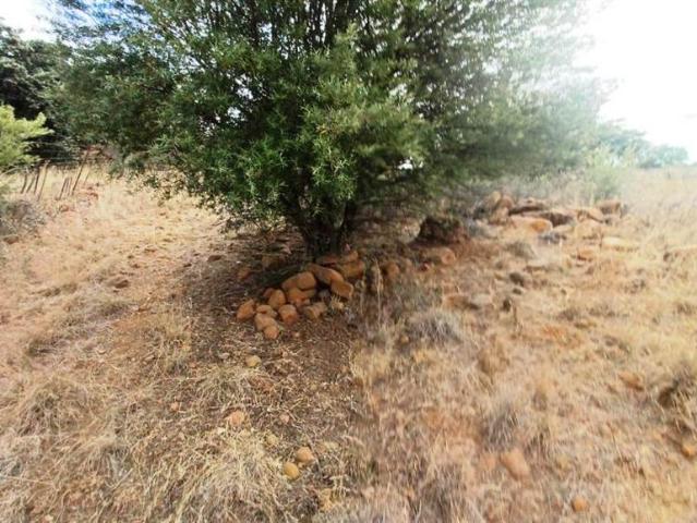 Land for sale in Bloemfontein, Free State