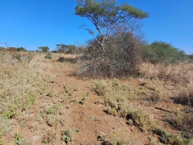 Land for sale in Louis Trichardt, Makhado Local Municipality