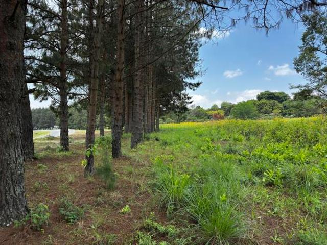 Land for sale in Umgungundlovu, Kwazulu-natal