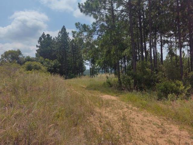 Land for sale in Ehlanzeni, Mpumalanga