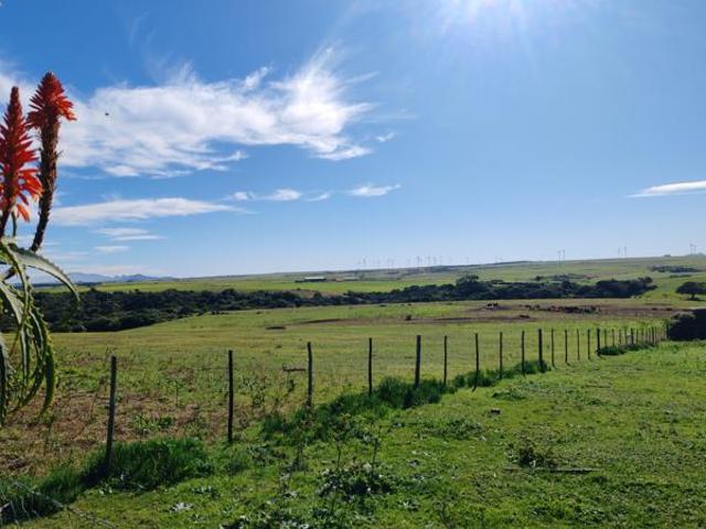Land for sale in Cape St Francis, Eastern Cape