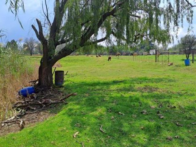 Land for sale in Oranjeville, Free State