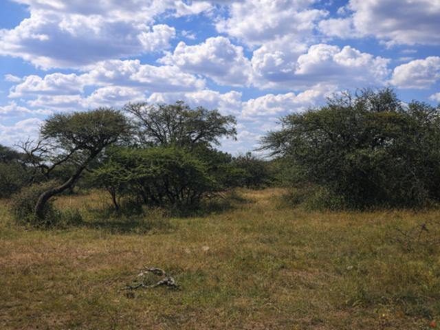 Land for sale in Seshego, Limpopo