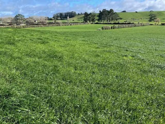 House for sale in Karetu, Northland
