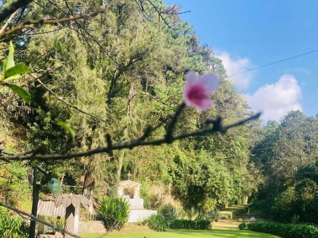 Rancho en venta en Villa Guerrero, Estado de México