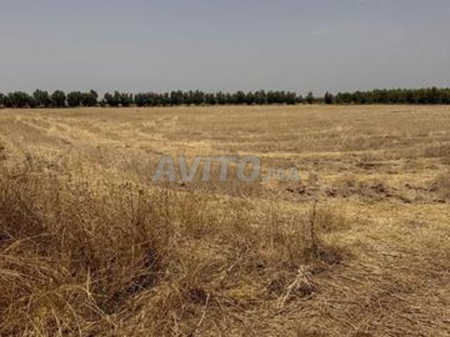 Propriété vente à Meknès