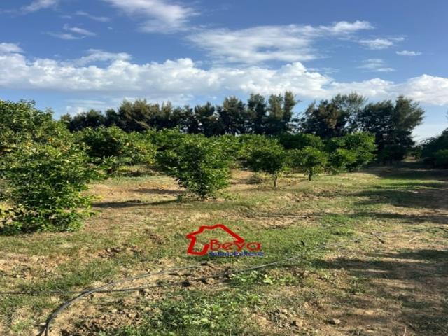 Propriété vente à Nabeul