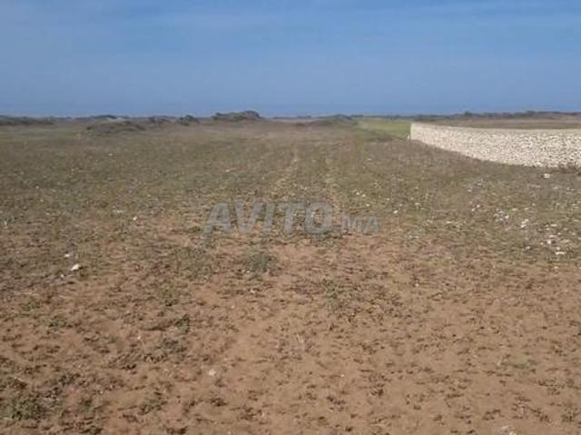 Propriété vente à Essaouira, L'Oriental