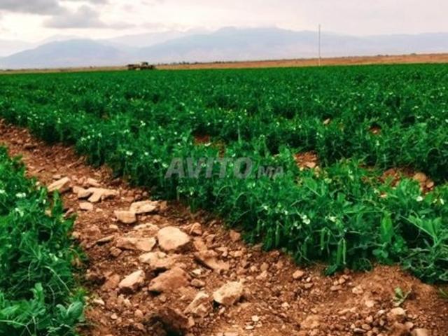 Propriété vente à Al Haouz, Marrakech-Tensift-Al Haouz