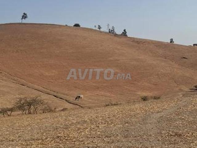 Propriété vente à Sidi Bettach, Gharb-Chrarda-Beni Hssen