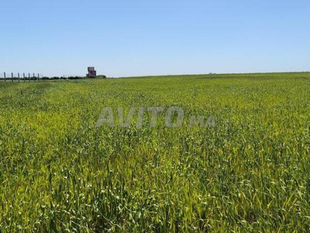 Propriété vente à Slimane, Gharb-Chrarda-Beni Hssen