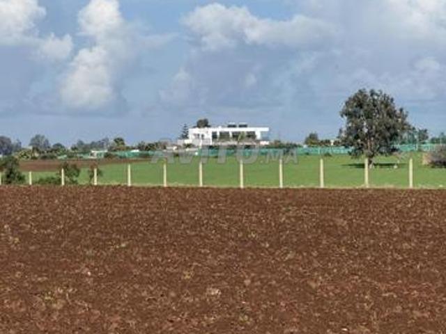 Propriété vente à El Ma, Gharb-Chrarda-Beni Hssen