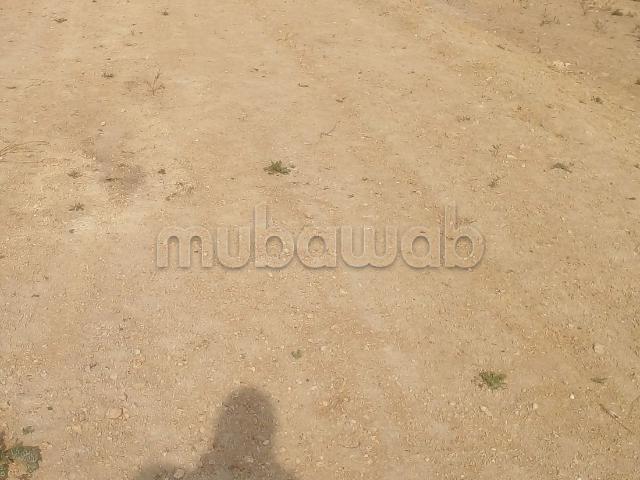 Terrain vente à Berrechid, Gharb-Chrarda-Beni Hssen
