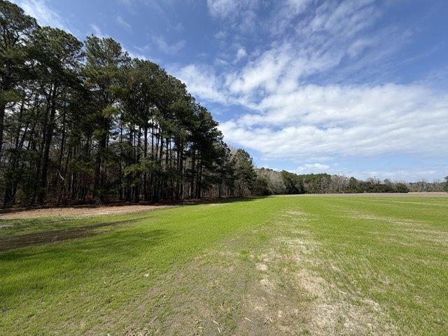 Land for sale in Saint Stephen, South Carolina