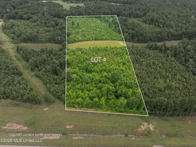 Land for sale in Collins, Mississippi