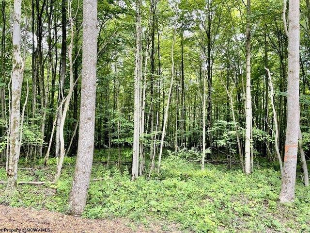 Land for sale in Kingwood, West Virginia