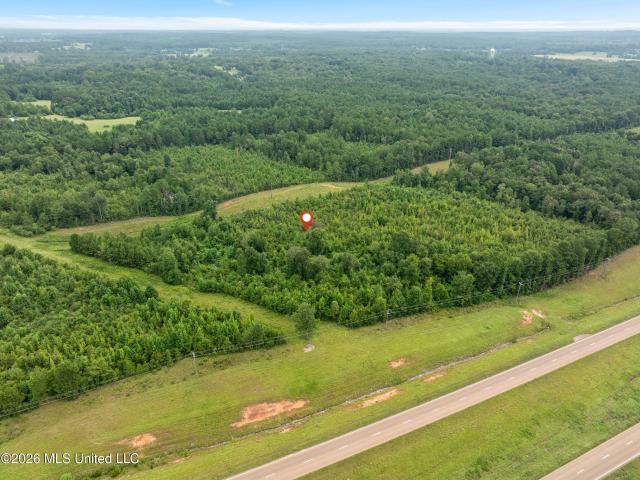 Land for sale in Collins, Mississippi