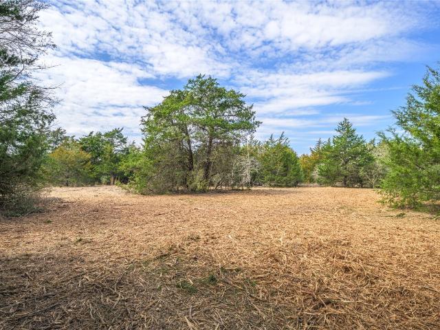 Land for sale in Carmine, Texas