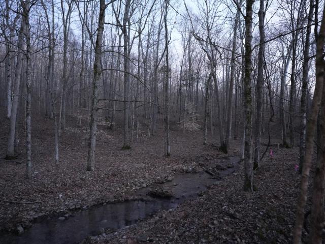 Land for sale in Tennessee