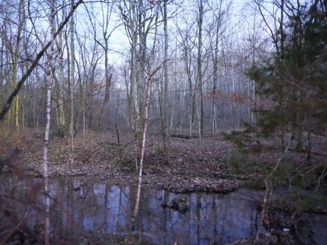 Land for sale in Tennessee