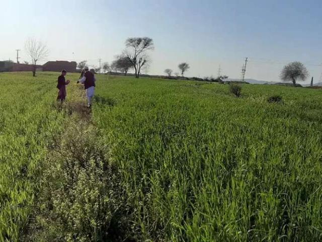 Land for sale in قطبال, راولپنڈی ڈویژن