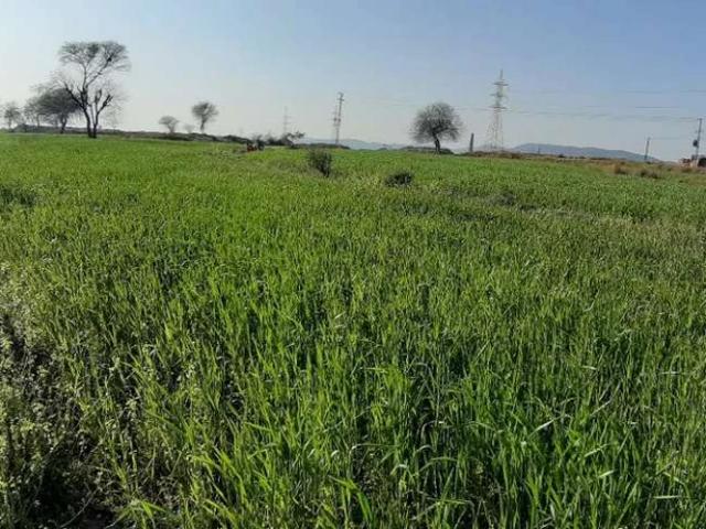 Land for sale in Islamabad