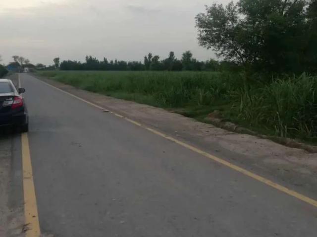 Land for rent in سرگودھا, سرگودھا ڈویژن