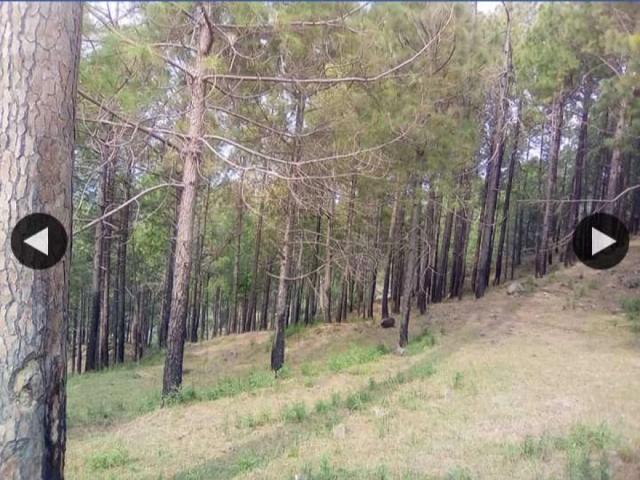 Land for sale in Sunny Bank, مری