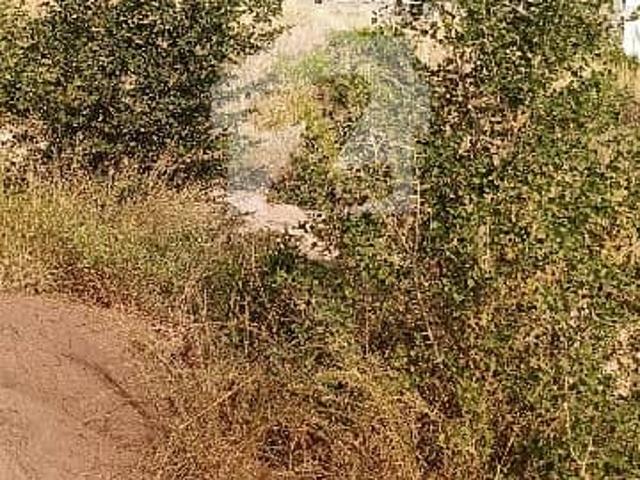Property for sale in Islamabad