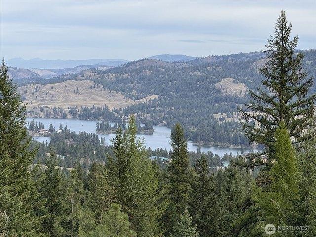 Land for sale in Republic, Ferry County